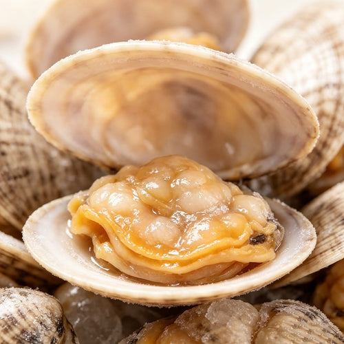 Close-up of a clam on the half shell showing plump meat